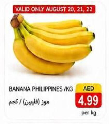 Banana from Philippines available at  روابي ماركت عجمان in الإمارات العربية المتحدة , الامارات - الشارقة / عجمان