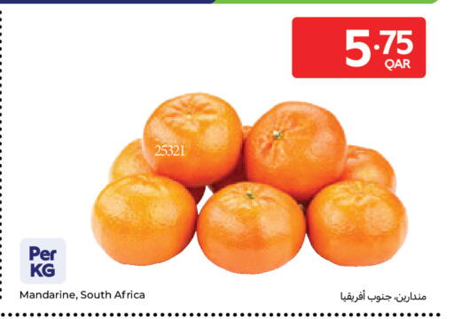 from South Africa available at كارفور in قطر - الشحانية