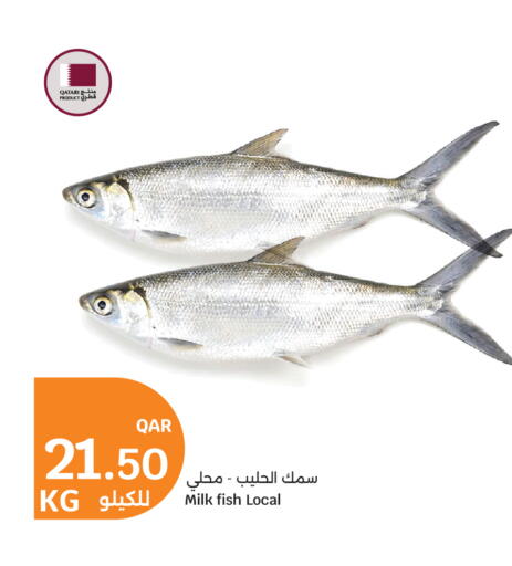 available at City Hypermarket in Qatar - Al Wakra