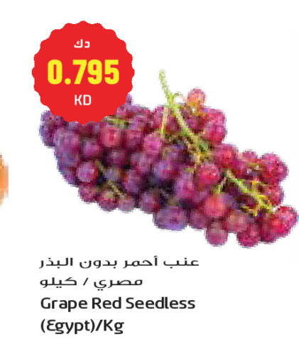from Egypt available at جراند كوستو in الكويت - مدينة الكويت