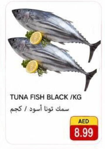 available at  روابي ماركت عجمان in الإمارات العربية المتحدة , الامارات - الشارقة / عجمان