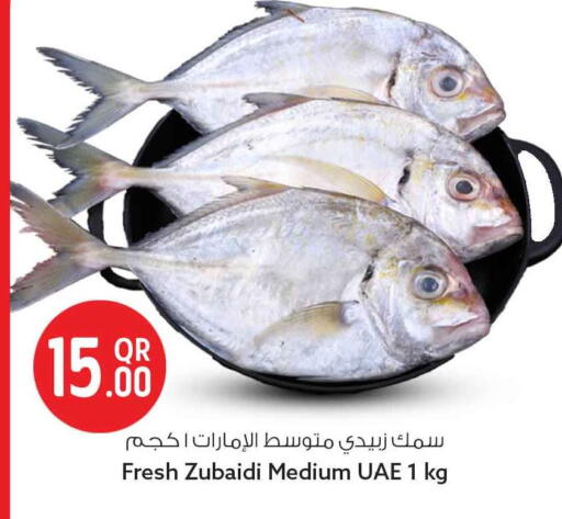 available at سفاري هايبر ماركت in قطر - الوكرة