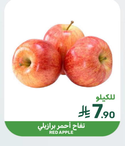 Apple available at  مـزايــا in مملكة العربية السعودية, السعودية, سعودية - المنطقة الشرقية
