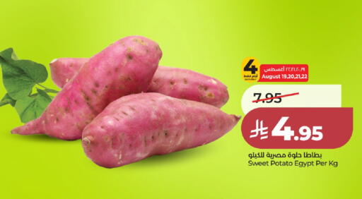 Sweet Potato from Egypt available at LULU Hypermarket in KSA, Saudi Arabia, Saudi - Al-Kharj