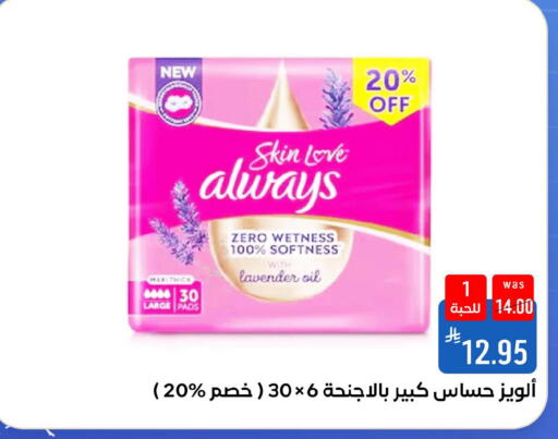 available at شبرا الطائف in مملكة العربية السعودية, السعودية, سعودية - مكة المكرمة