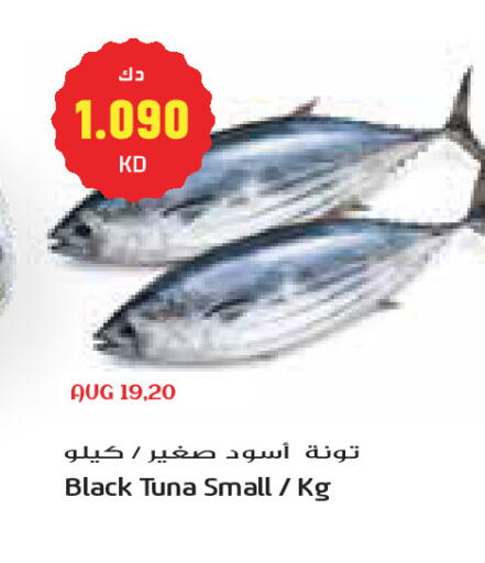 available at Grand Costo in Kuwait - Kuwait City