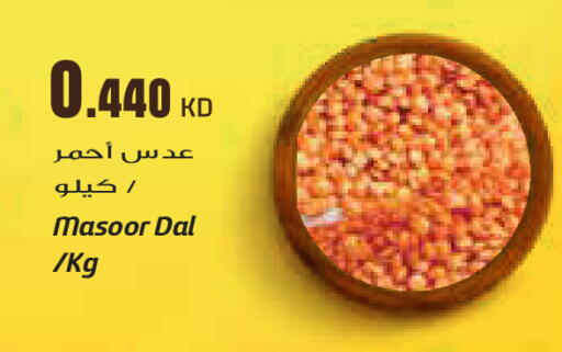 available at جراند كوستو in الكويت - مدينة الكويت