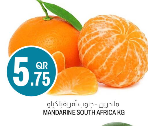 from South Africa available at Aswaq Al Malaki Fresh in Qatar - Al-Shahaniya