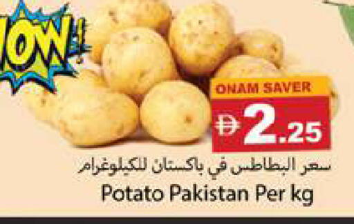 Potato from Pakistan available at جلف هايبرماركت ذ.م.م in الإمارات العربية المتحدة , الامارات - رَأْس ٱلْخَيْمَة