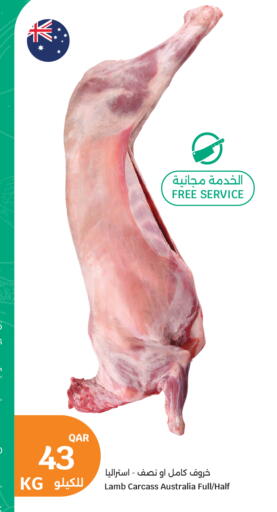 available at City Hypermarket in Qatar - Umm Salal