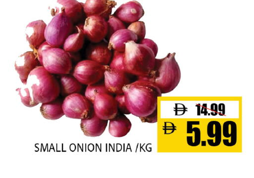 Onion from India available at Leptis Hypermarket  in UAE - Al Ain