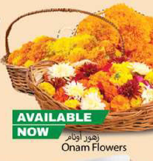 available at Gulf Hypermarket LLC in UAE - Ras al Khaimah