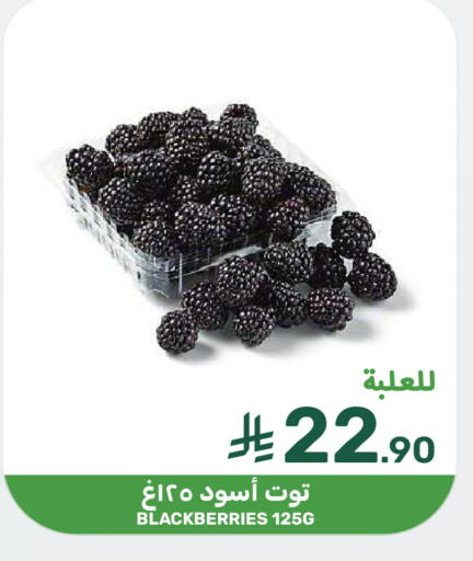 available at  مـزايــا in مملكة العربية السعودية, السعودية, سعودية - القطيف‎