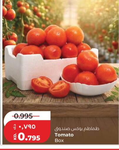 Tomato available at Lulu Hypermarket  in Kuwait - Kuwait City