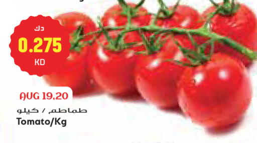 Tomato available at Grand Costo in Kuwait - Kuwait City