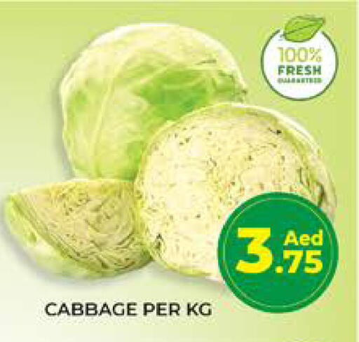 Cabbage available at Seven Emirates Supermarket in UAE - Abu Dhabi
