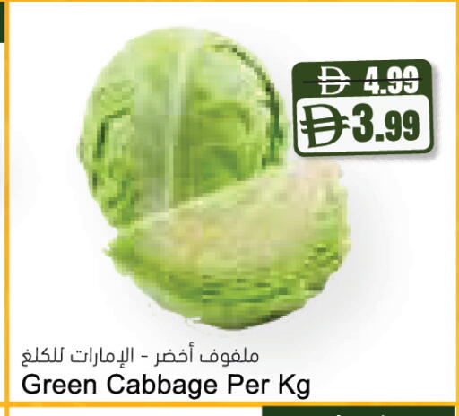 Cabbage available at المايا سوبرماركت in الإمارات العربية المتحدة , الامارات - أبو ظبي