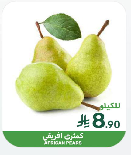 available at  مـزايــا in مملكة العربية السعودية, السعودية, سعودية - المنطقة الشرقية