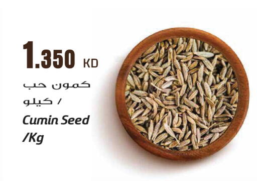 Cumin available at جراند هايبر in الكويت - مدينة الكويت