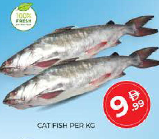 available at Seven Emirates Supermarket in UAE - Abu Dhabi