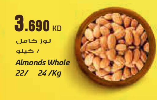 available at جراند كوستو in الكويت - مدينة الكويت