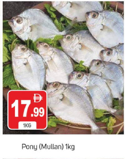 available at TALAL MARKET in UAE - Dubai