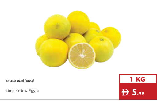 from Egypt available at Istanbul Supermarket in UAE - Dubai