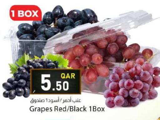 Grapes available at Dana Market in Qatar - Al Daayen