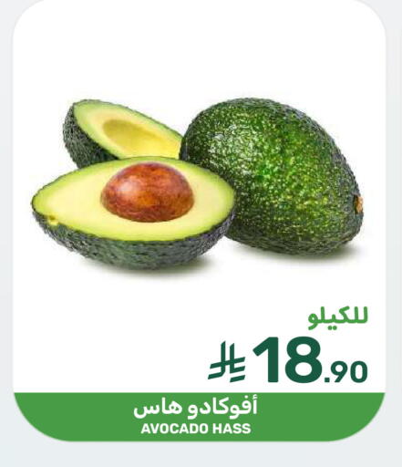 Avocado available at  مـزايــا in مملكة العربية السعودية, السعودية, سعودية - القطيف‎