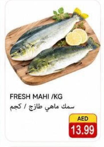available at  روابي ماركت عجمان in الإمارات العربية المتحدة , الامارات - الشارقة / عجمان