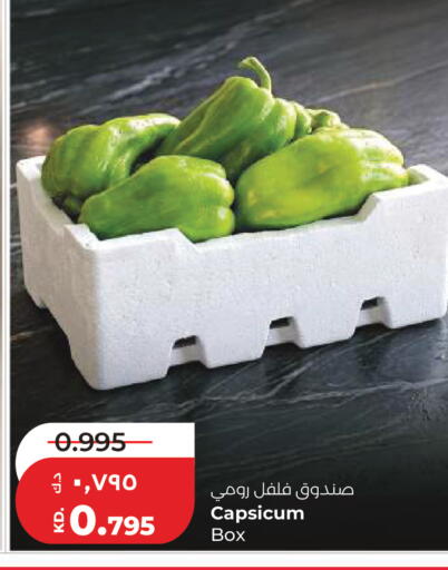 Capsicum available at Lulu Hypermarket  in Kuwait - Kuwait City