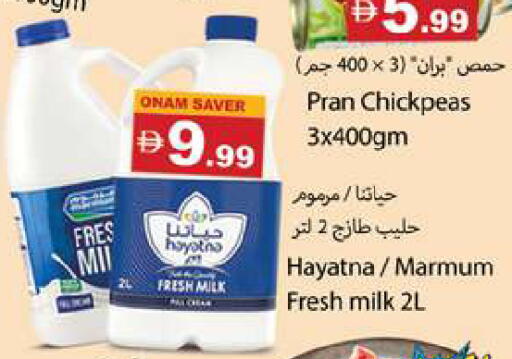 available at جلف هايبرماركت ذ.م.م in الإمارات العربية المتحدة , الامارات - رَأْس ٱلْخَيْمَة