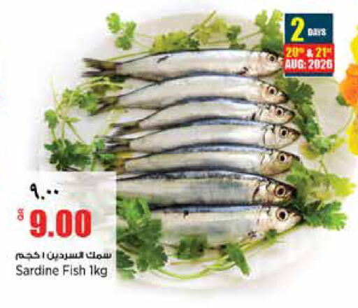 available at سوبر ماركت الهندي الجديد in قطر - أم صلال