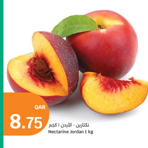 Nectarine from Jordan available at City Hypermarket in Qatar - Al Wakra
