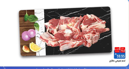 available at شبرا الطائف in مملكة العربية السعودية, السعودية, سعودية - مكة المكرمة