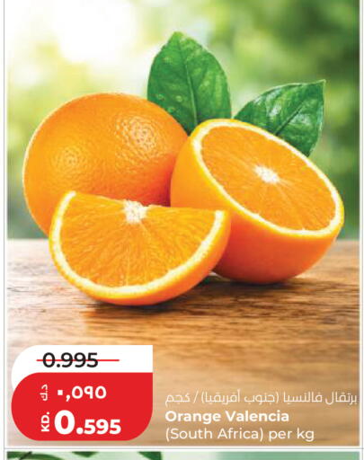 Orange from South Africa available at Lulu Hypermarket  in Kuwait - Kuwait City