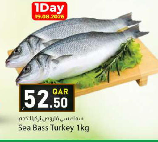 available at دانا ماركت in قطر - الشمال
