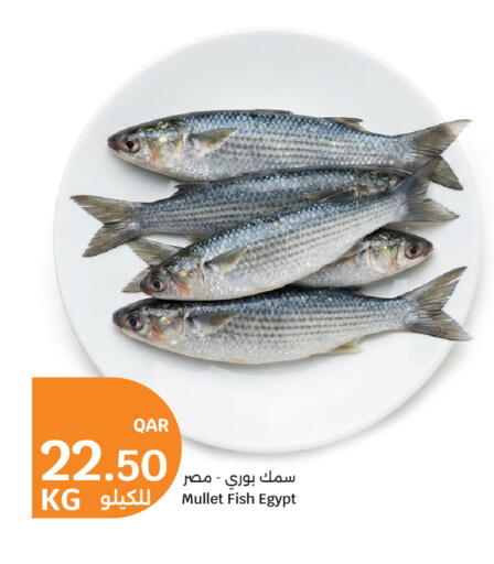 available at City Hypermarket in Qatar - Umm Salal