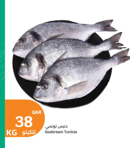available at سيتي هايبرماركت in قطر - الشمال