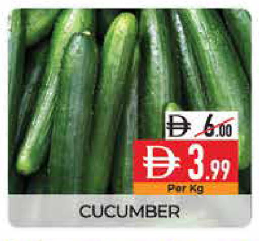 Cucumber available at ديلايس سوبرماركت in الإمارات العربية المتحدة , الامارات - أبو ظبي