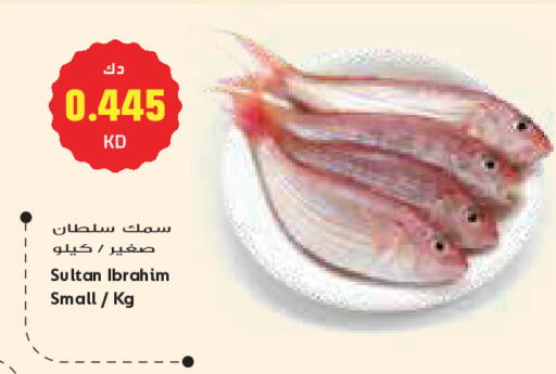 available at Grand Costo in Kuwait - Kuwait City