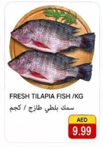 available at  روابي ماركت عجمان in الإمارات العربية المتحدة , الامارات - الشارقة / عجمان