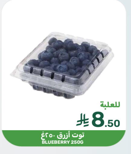 Blueberry BlueBerry available at  مـزايــا in مملكة العربية السعودية, السعودية, سعودية - المنطقة الشرقية