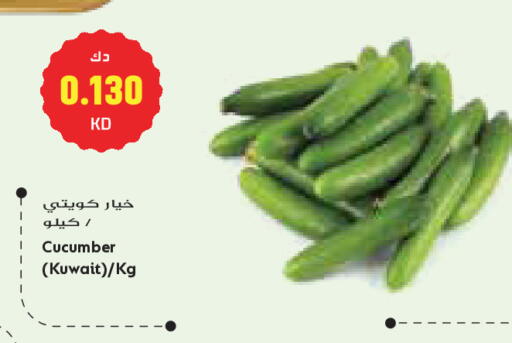 Cucumber from Kuwait available at جراند كوستو in الكويت - مدينة الكويت
