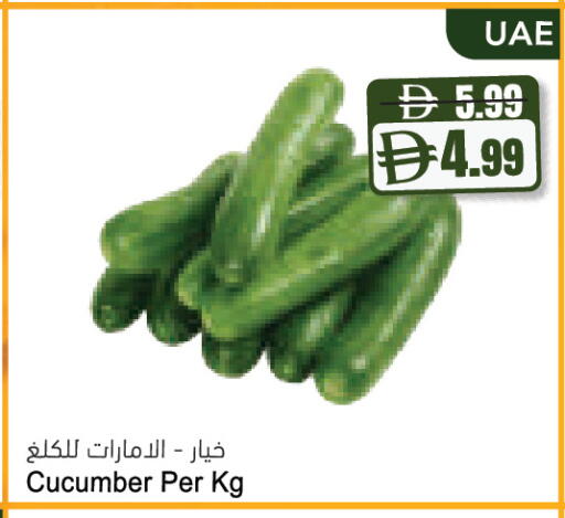 Cucumber available at Almaya Supermarkets in UAE - Abu Dhabi