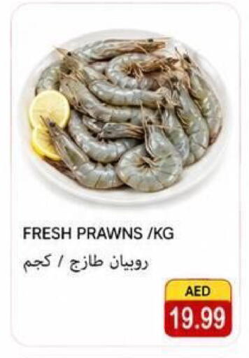 available at Rawabi Market Ajman in UAE - Sharjah / Ajman