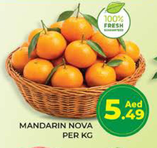 Mandarin available at Seven Emirates Supermarket in UAE - Abu Dhabi