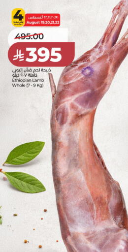 available at لولو هايبرماركت in مملكة العربية السعودية, السعودية, سعودية - الخرج