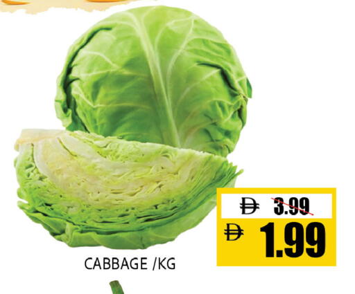 Cabbage available at ليبتس هايبرماركت in الإمارات العربية المتحدة , الامارات - ٱلْعَيْن‎