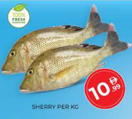 available at Seven Emirates Supermarket in UAE - Abu Dhabi
